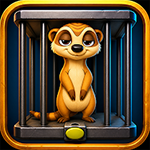 Free The Caged Meerkat