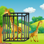 Free The Gentle Giant