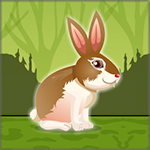 Free The Gray Rabbit