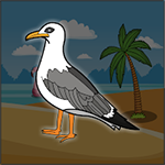 Free The Seagull From The Cage