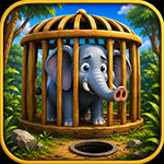 Free The Trapped Elephant