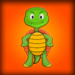 Free The Turtle From The Wooden Hut