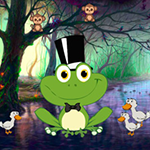 Frog Find The Darling