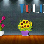 Garden Mystery Puzzle Escape