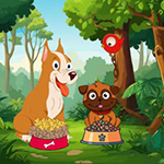 Give Meal To Hungry Dogs