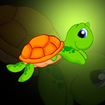 Green Sea Turtle Rescue