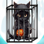 Halloween Cat Haunt