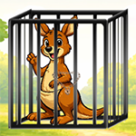 Happy Kangaroo Escape