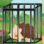 Hedgehog Rescue