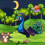 Help Innocent Peacock Mother