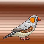 Help The Australian Zebra Finch