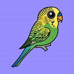 Help The Budgerigar From Cage