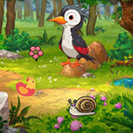 Help The Mom Woodpecker