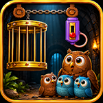 Help The Trapped Owls