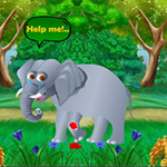 Help The Wounded Elephant