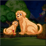 Help The Wounded Golden Retriever Puppy