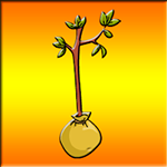 Help This Boy Plant A Tree