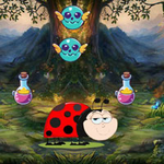 Help Trapped Lady Bug