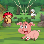 Help Troubled Wounded Piggy