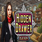 Hidden Drawer