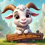 Jovial Young Goat Rescue