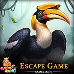 Jungle Hornbill Escape