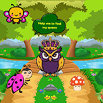 King Find The Queen Owl