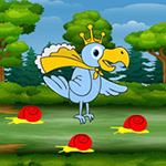 King Meet The Queen Bird