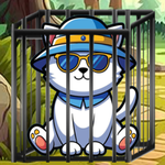 Kitty Jail Break
