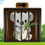 Koala Bear Escape
