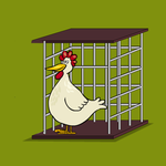 Leghorn Chicken Escape