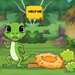 Lizard Searching The Stolen Eggs