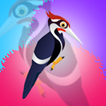 Lovely Woodpecker Bird Escape