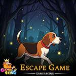 Loyal Russell Dog Escape