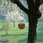 Magical Dragon Escape