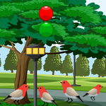 Majestic Lion Rescue