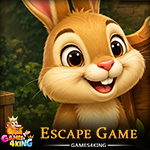 Meadow Rabbit Escape