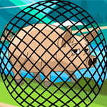 Mesh Pig Escape