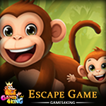 Monkey Mom And Cub Escape