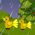Monsoon Coop Escape