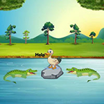 Naive Duck Trapped In Crocodile