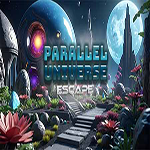 Parallel Universe Escape