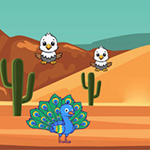 Peacock Escape From Desert