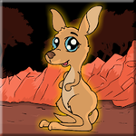 Petrogale Concinna Rescue