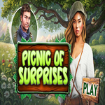 Picnic Of Surprises