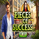 Pieces Of Success