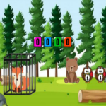 Pine Forest Fox Rescue