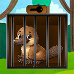 Platypus Cage Escape