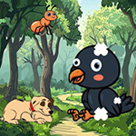 Protect Bruised Baby Crow
