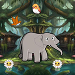 Provide Food Starving Elephant